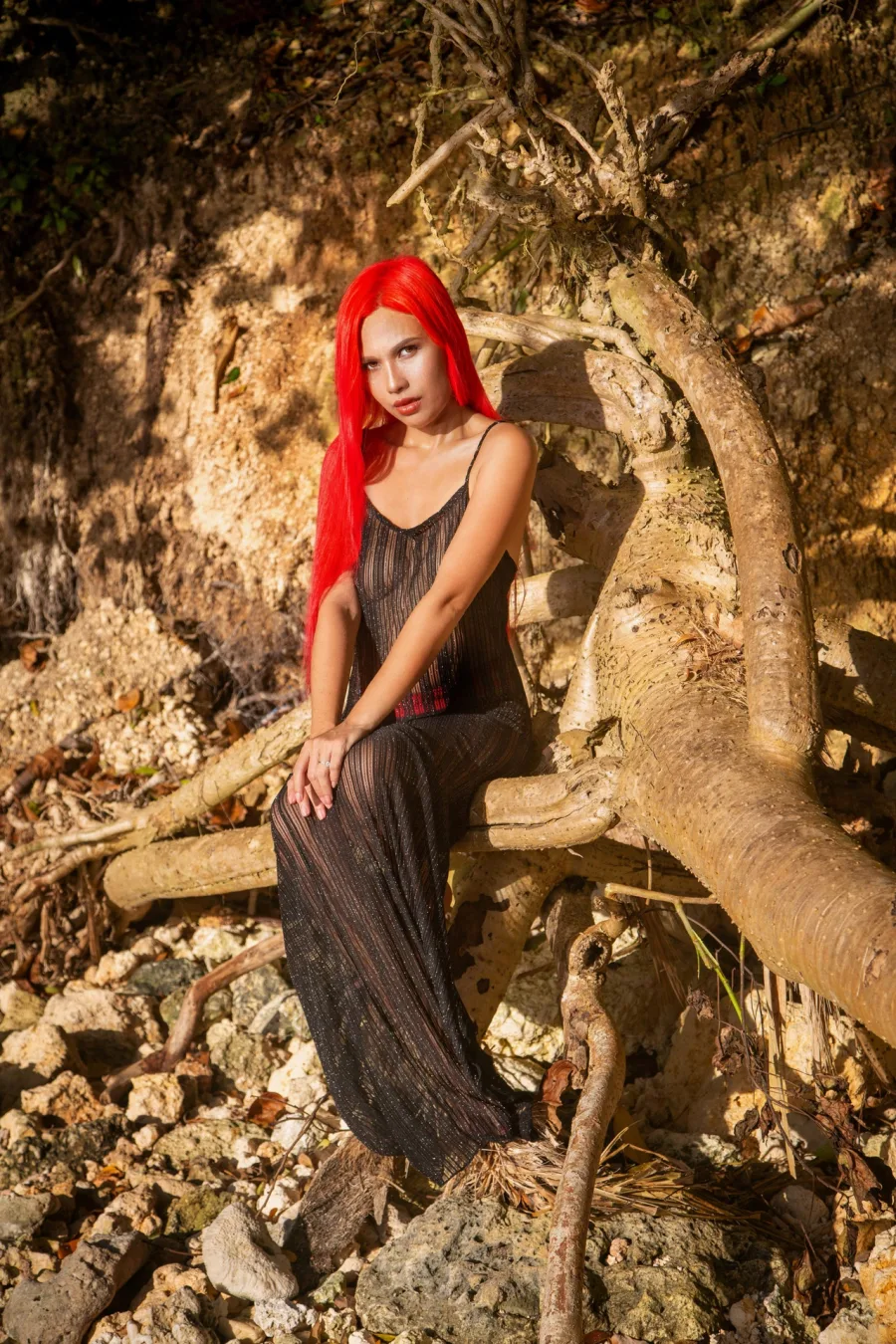 Celebrity & Portraiture