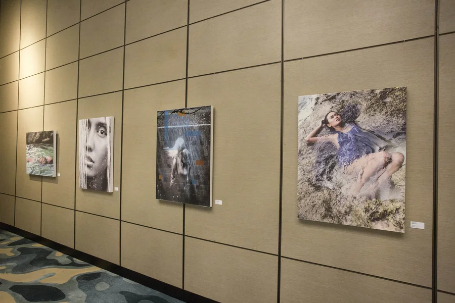 Exhibition