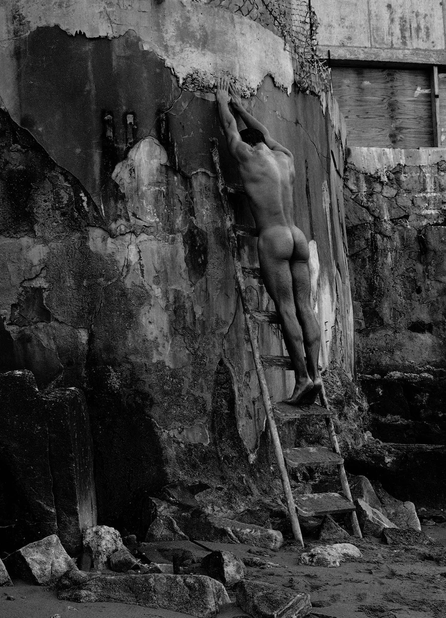 Fine Art