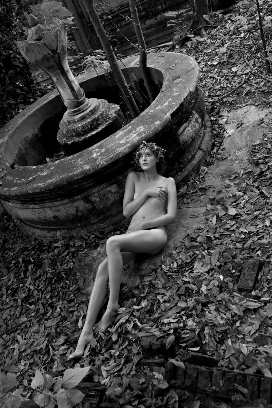 Fine Art