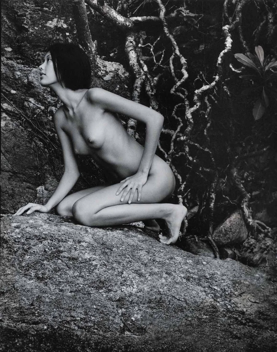 Fine Art
