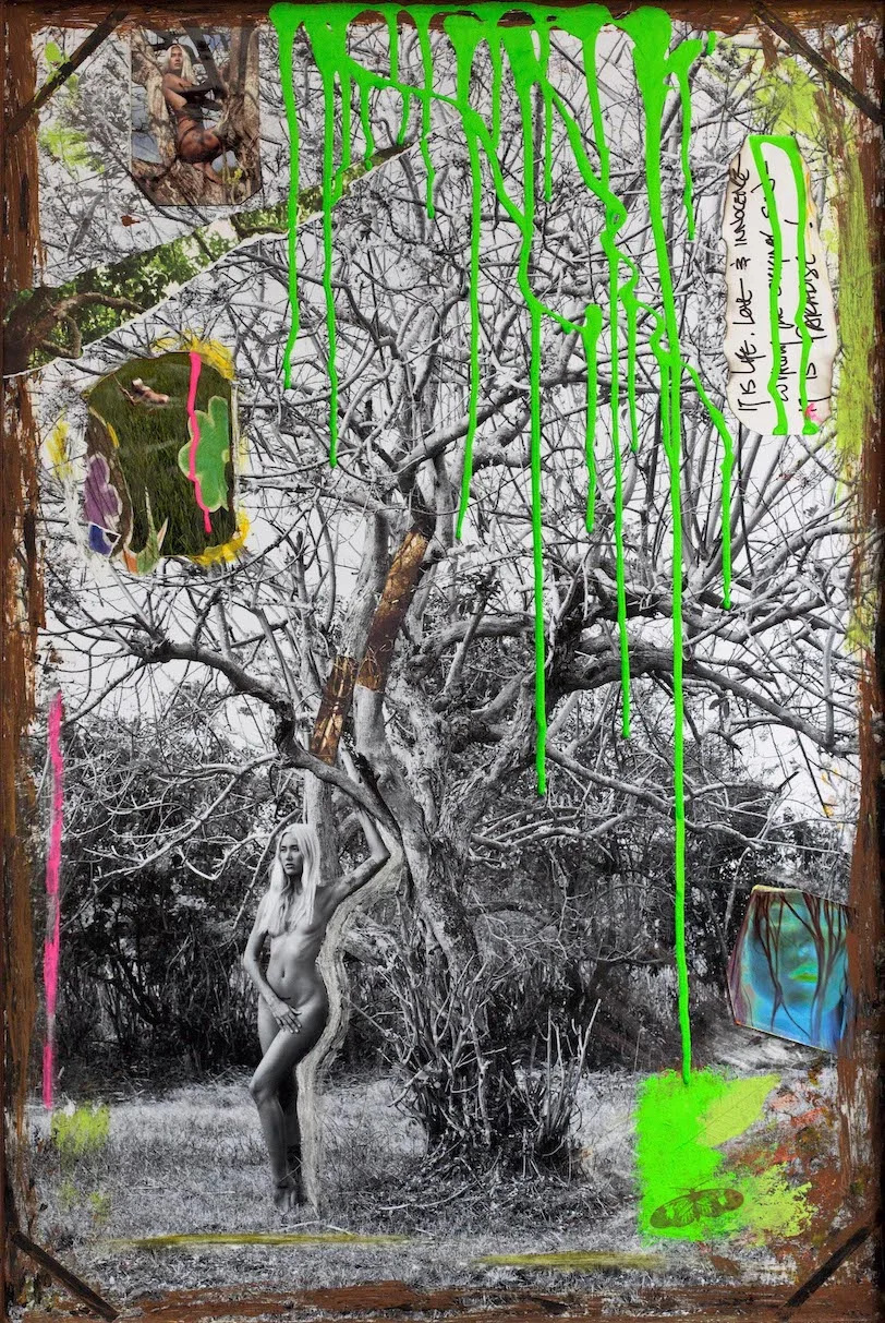 Fine Art